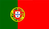survey-in-portuguais