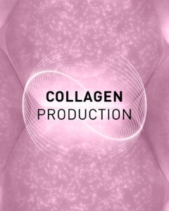 COLLAGEN PRODUCTION Collagen production stimulated by microneedling treatment for firmer skin